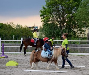 attività al pegaso pony